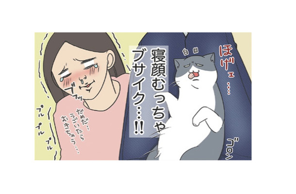 ツンデレだった愛猫が膝に乗ってくれるようになった寝顔むっちゃブサイクでたまらん【おさんぽですし! おしゃべり犬とイライラ猫の日記 #20】