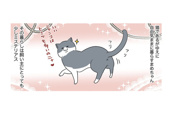 「愛猫の一日」ひとり時間を好み、自由気ままな暮らしぶり。飼い主にとってもミステリアス【おさんぽですし！　おしゃべり犬とイライラ猫の日記 #21】