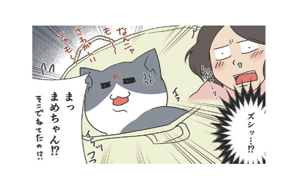 お気に入りの場所から絶対に動きたくない愛猫。漬物石より重たくなるのはなぜ?【おさんぽですし! おしゃべり犬とイライラ猫の日記 #23】