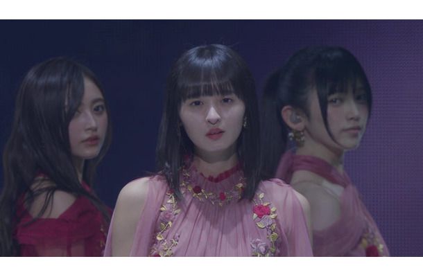 乃木坂46（提供写真）