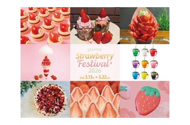 ⼤阪ストロベリーフェスティバル販売商品の⼀例/提供画像