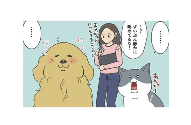 カラスの巣作りの季節到来。静かに様子を眺める猫と犬…実はビビってただけ？【おさんぽですし！　おしゃべり犬とイライラ猫の日記 #29】