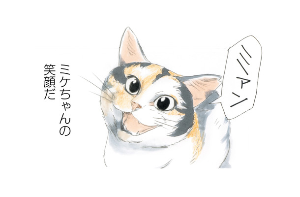 「おはよう」笑顔でお出迎えしてくれる看板猫のミケちゃん。今日も穏やかな１日が始まる【続 ミケちゃんとやすらぎさん #１】