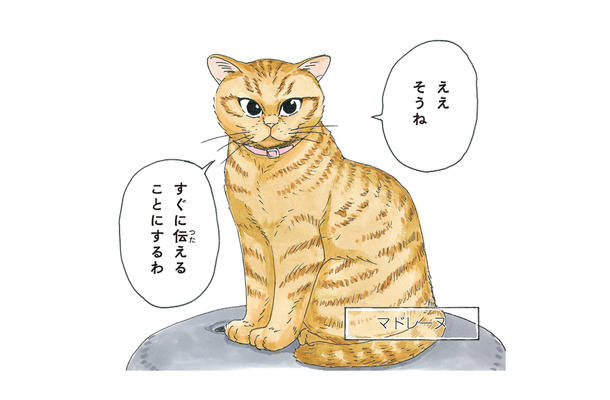 老犬の柴犬に嫁いできたという不思議な猫。気品溢れる「マドレーヌ夫人」とは?【かのこちゃんとマドレーヌ夫人 #1】