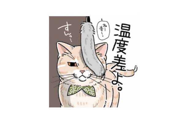 「すんっ…」遊びたい飼い主を華麗にスルーする猫の反応【猫がおしりを向けてきます #６】