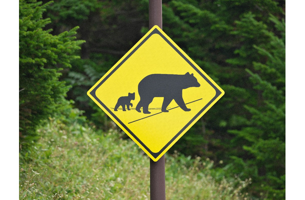 命よりも仕事⁉ クマの気配に怯え、混浴の露天風呂で見知らぬ女性と星空を眺める。63歳で山小屋の歩荷バイト、やってみた