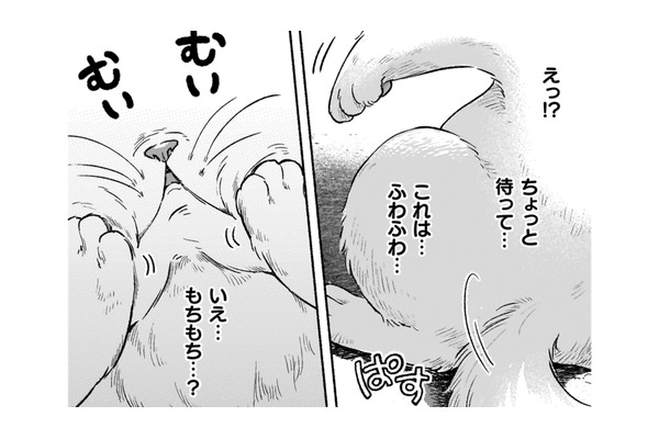 「このまま死んじゃうの？」そう思った次の瞬間…私の体、いつもと違う!?【根暗騎士による溺愛満喫中のブサ猫、実は聖女です！#18】