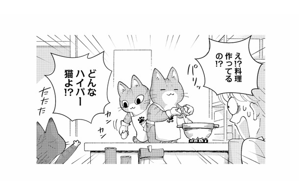 「料理を作るってどんなハイパー猫!?」出てきたのは熱々の味噌煮込みうどん…！【家政婦よんだら猫がきた #４】