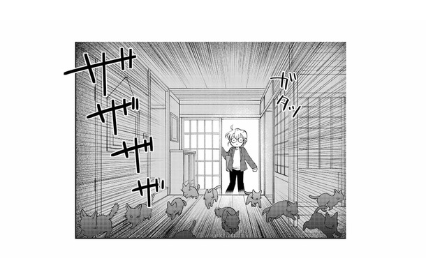 猫の後を追ってたどり着いた先は“猫屋敷”!? 玄関を覗くと現れた人物とは…?【家政婦よんだら猫がきた #15】