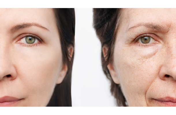 「老化は自然現象ではなく、コントロールできる病気」。老化抑制する成分がブロッコリーの7倍もある野菜とは