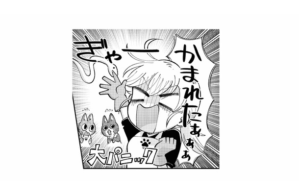 蛇に噛まれて大パニック!逃げられちゃう!? 飼い主のアドバイス通りにしてみると…【家政婦よんだら猫がきた #20】