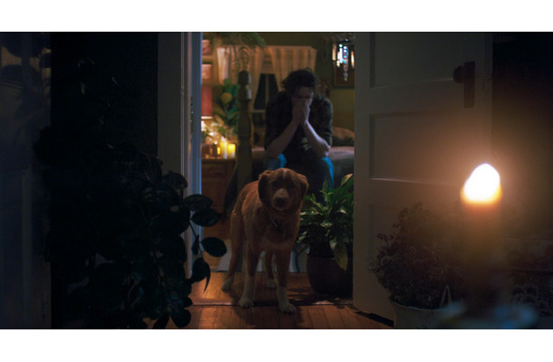 『GOOD BOY／グッド・ボーイ』© 2025 Whats Wrong With Your Dog, LLC. All Rights Reserved.