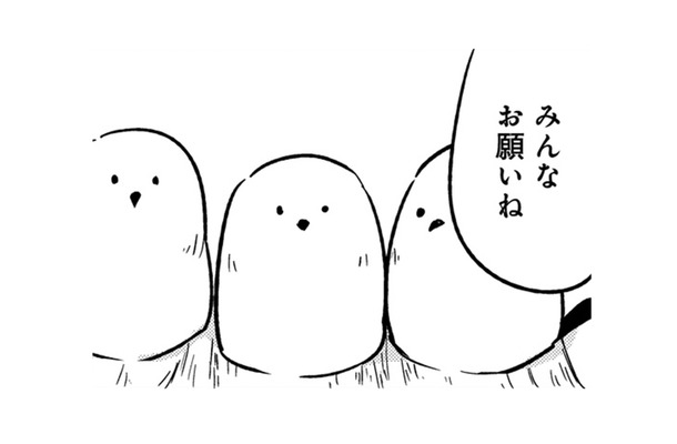 「これくらい、すぐ直せる」一見、可愛いトリビトは、とんでもないポテンシャルの持ち主だった!【とりきっさ! #22】