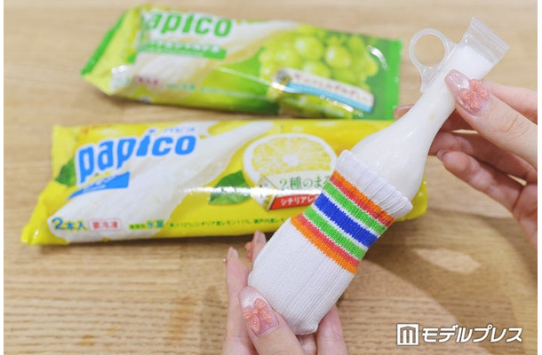 パピコと専用「パピコセーター」(C)モデルプレス