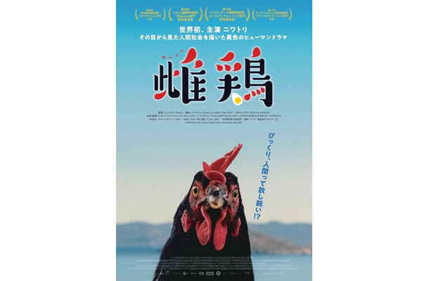 『雌鶏』©2025 Pallas Film-Twenty Twenty Vision-View Master Films-ZDF
