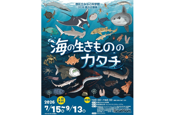 2026 夏の企画展 海の生きもののカタチ