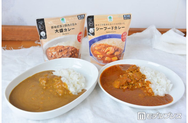 （左から）「香味野菜と豚肉の旨み 大盛カレー」「あさりの旨みとスパイスが効いたシーフードカレー」（C）モデルプレス