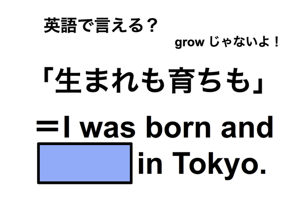 英語で「生まれも育ちも」は何て言う？