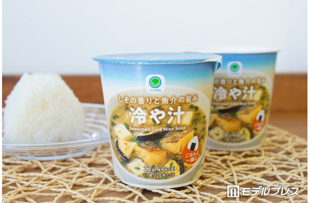 夏バテを乗り切る救世主「冷や汁」を実食レポ（C）モデルプレス