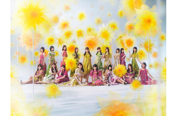 乃木坂46(提供写真)