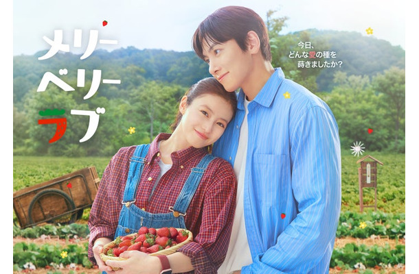 「メリーベリーラブ」キービジュアル(C)日本テレビ