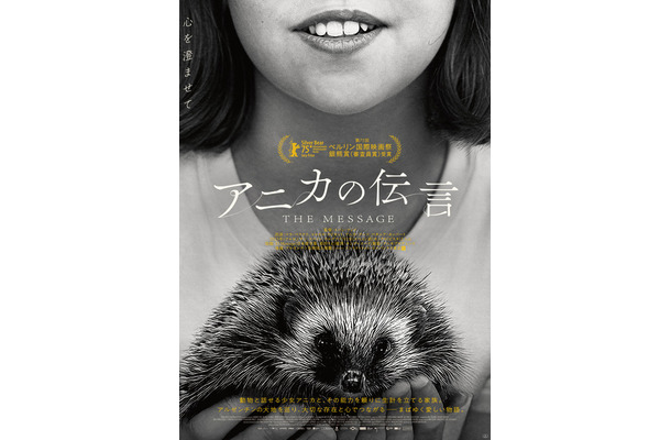 『アニカの伝言』