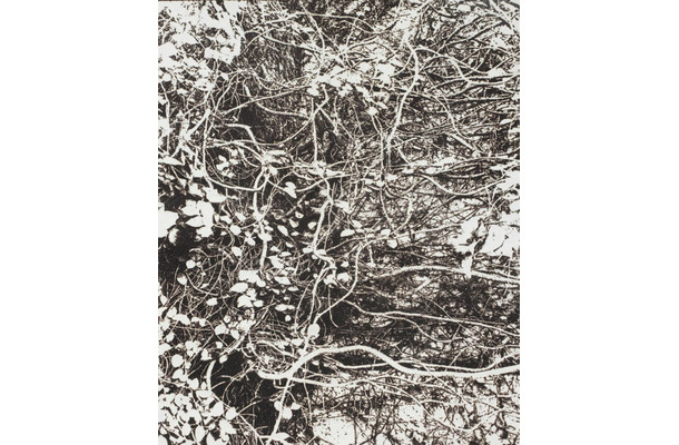市川孝典、個展「FLEETING DAYS」10月7日より渋谷・NONLECTURE book/artsで開催