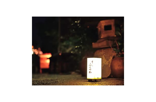 神楽坂の人気鮨店は「バーのような仄暗さが逆に落ち着く」と大人たちの間で話題！
