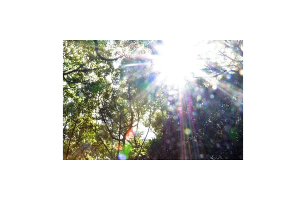 STAND Still「光」Photo by 彩咲りん©2019 Picture This Japan All Rights Reserved