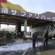 トラを飼育スペースに戻さず