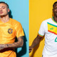 W杯2日目！セネガルvsオランダ注目選手の愛すべき秘話まとめ