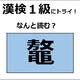 「鼇」の読み方、わかる？　爬虫類に分類される生物だよ【漢字クイズ】