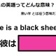 この英語ってどんな意味？「He is a black sheep」