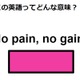 この英語ってどんな意味？「No pain, no gain. 」