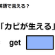 英語で「カビが生える」はなんて言う？