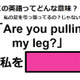 この英語ってどんな意味？「Are you pulling my leg? 」