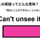 この英語ってどんな意味？「Can’t unsee it. 」