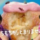 キンプリ高橋海人＆SixTONES松村北斗、CM再共演に歓喜 家族・メンバー…夏の予定明かす