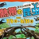 【夏休み2025】世界最大級のカブトムシに会える…板橋の植物館で特別展