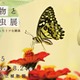 【夏休み2025】京都府立植物園「植物と昆虫展」8/24まで、自由研究にも
