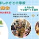 六瀬ほしのさと小学校、生徒募集…料理・DIYなど体験会8/24