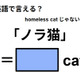 英語で「ノラ猫」は何て言う？
