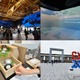 【2025年大阪・関西万博】アートや美食に心躍るパビリオン3選