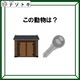 クイズです！「このイラストが示す動物は？」イラストを読んでみましょう【難易度LV２.・甘口】
