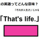 この英語ってどんな意味？「that’s life.」