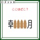 クイズです！「ここはどこ？」朝の中に何かが入っています！【難易度LV３.・中辛】