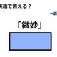 英語で「微妙」は何て言う？