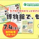 【自由研究2026】植物・貝がら・昆虫の標本づくり冊子を無料配布…大阪市立自然史博物館