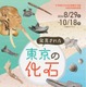 特別展「発見された東京の化石」日比谷図書文化館で8/29から