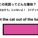 この英語ってどんな意味？「Let the cat out of the bag.」